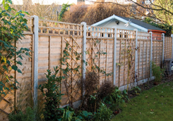 Garden Divide Fencing Panels
