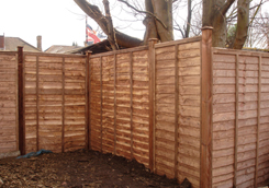 Larch Fencing Panels