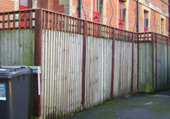 New Trellis on Existing Fence